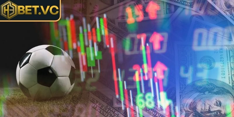 Cách soi chuẩn xác cho người mới